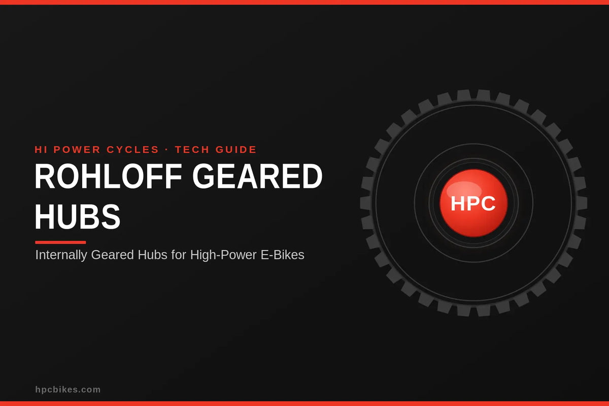 Rohloff and internally geared hubs for high-power e-bikes