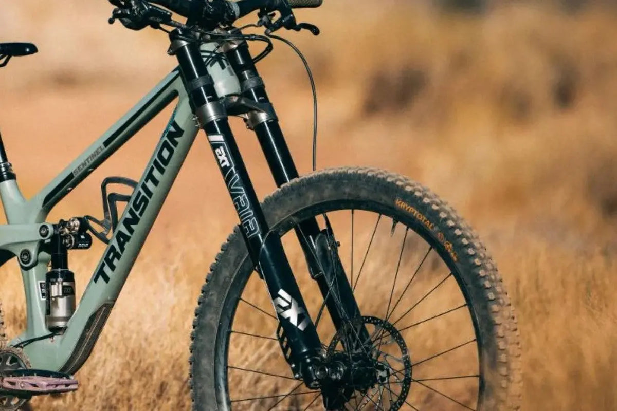EXT Vaia inverted downhill fork
